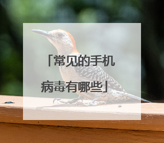 常见的手机病毒有哪些