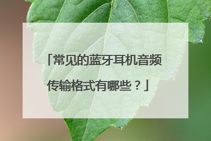 常见的蓝牙耳机音频传输格式有哪些？