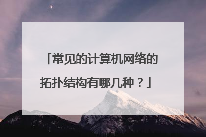 常见的计算机网络的拓扑结构有哪几种?