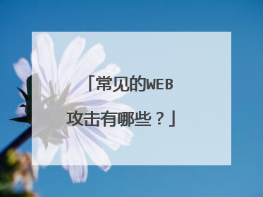 常见的WEB攻击有哪些？