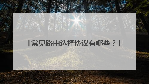 常见路由选择协议有哪些？