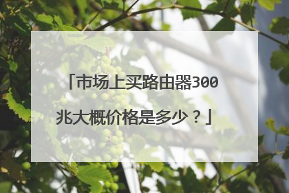 市场上买路由器300兆大概价格是多少？
