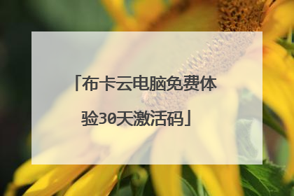 布卡云电脑免费体验30天激活码