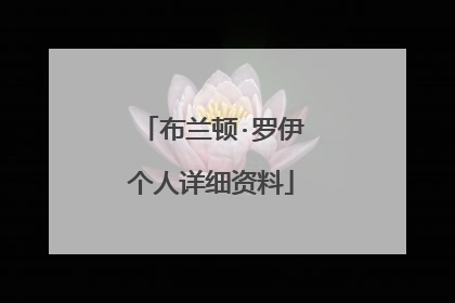 布兰顿·罗伊个人详细资料