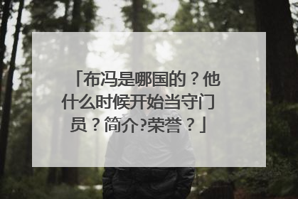 布冯是哪国的？他什么时候开始当守门员？简介?荣誉？