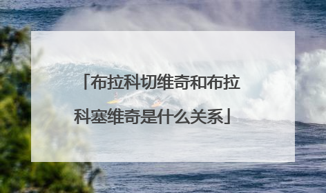 布拉科切维奇和布拉科塞维奇是什么关系