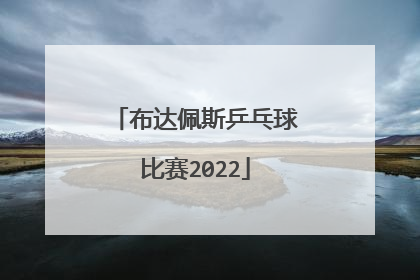 布达佩斯乒乓球比赛2022