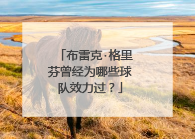 布雷克·格里芬曾经为哪些球队效力过？