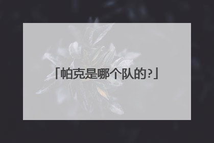 帕克是哪个队的?