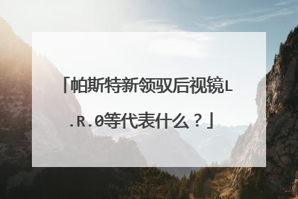 帕斯特新领驭后视镜L.R.0等代表什么？