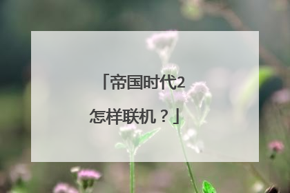 帝国时代2怎样联机？