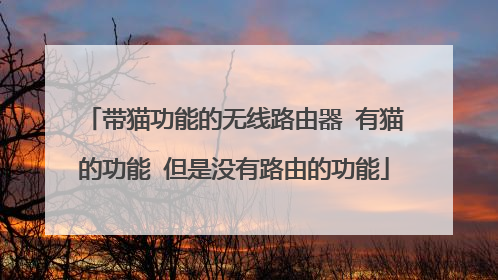 带猫功能的无线路由器 有猫的功能 但是没有路由的功能