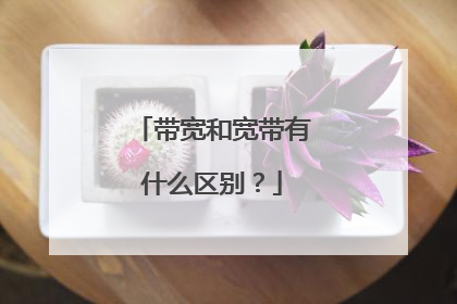 带宽和宽带有什么区别?