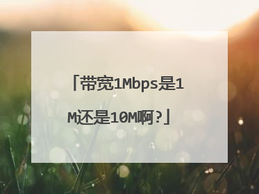 带宽1Mbps是1M还是10M啊?