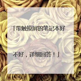 带触摸屏的笔记本好不好，详细回答！