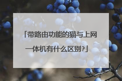 带路由功能的猫与上网一体机有什么区别?