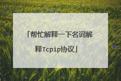 帮忙解释一下名词解释Tcpip协议