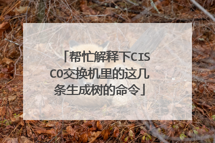 帮忙解释下CISCO交换机里的这几条生成树的命令