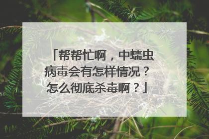 帮帮忙啊，中蠕虫病毒会有怎样情况？怎么彻底杀毒啊？