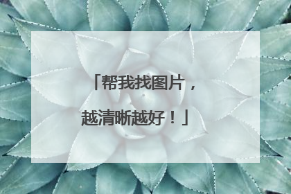 帮我找图片，越清晰越好！