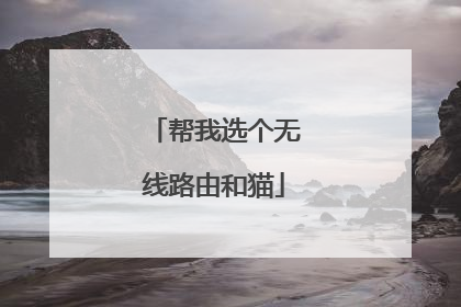 帮我选个无线路由和猫