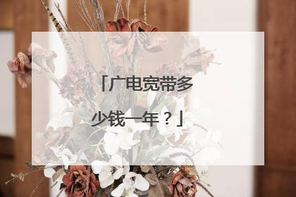 广电宽带多少钱一年？