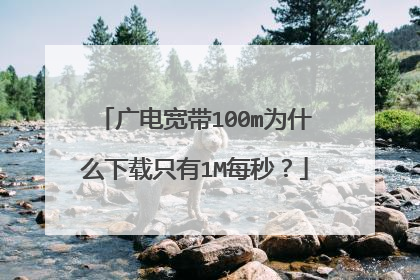 广电宽带100m为什么下载只有1M每秒?