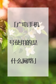 广电手机号使用的是什么网络