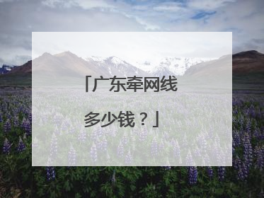 广东牵网线多少钱？