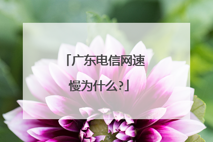 广东电信网速慢为什么?