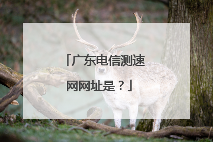 广东电信测速网网址是?