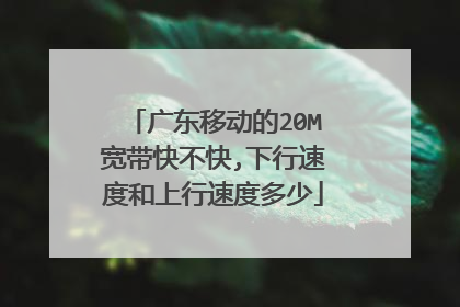 广东移动的20M宽带快不快,下行速度和上行速度多少