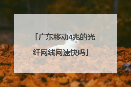 广东移动4兆的光纤网线网速快吗