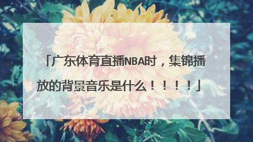 广东体育直播NBA时,集锦播放的背景音乐是什么!!!!