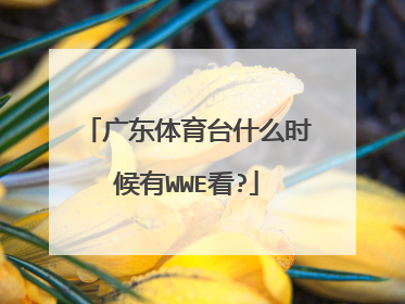 广东体育台什么时候有WWE看?