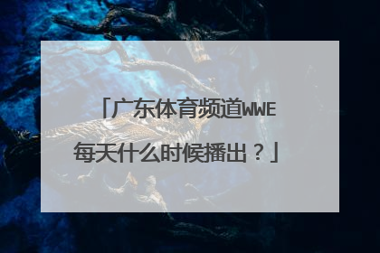 广东体育频道WWE每天什么时候播出？