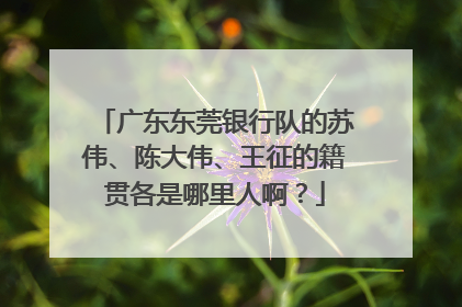 广东东莞银行队的苏伟、陈大伟、王征的籍贯各是哪里人啊？