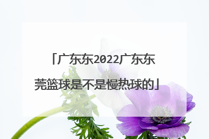 广东东2022广东东莞篮球是不是慢热球的