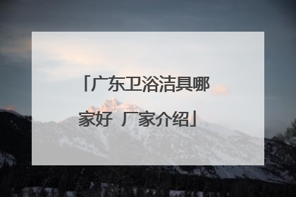 广东卫浴洁具哪家好 厂家介绍