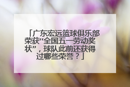 广东宏远篮球俱乐部荣获“全国五一劳动奖状”,球队此前还获得过哪些荣誉?