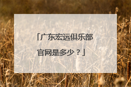 广东宏远俱乐部官网是多少?