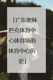 广东奥林匹克体育中心体育场的体育中心历史