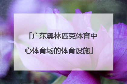 广东奥林匹克体育中心体育场的体育设施