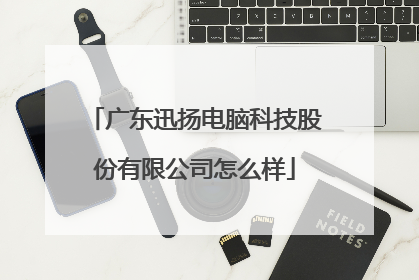 广东迅扬电脑科技股份有限公司怎么样