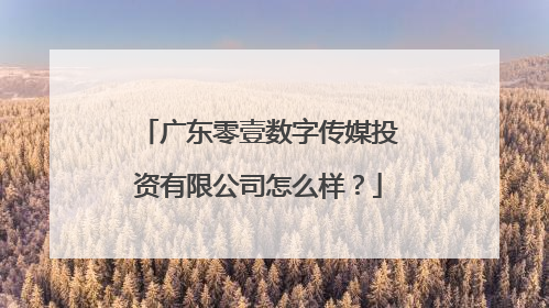广东零壹数字传媒投资有限公司怎么样？