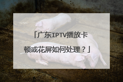 广东IPTV播放卡顿或花屏如何处理?