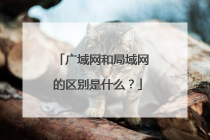 广域网和局域网的区别是什么？