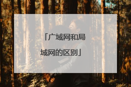 广域网和局域网的区别