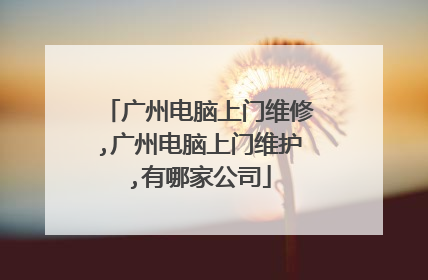 广州电脑上门维修,广州电脑上门维护,有哪家公司