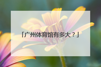 广州体育馆有多大？